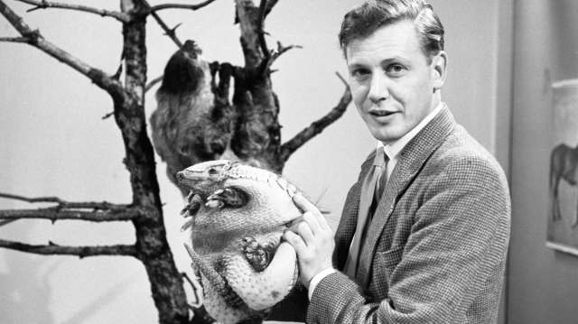 Attenborough and Animals for BBC children’s television in 1963